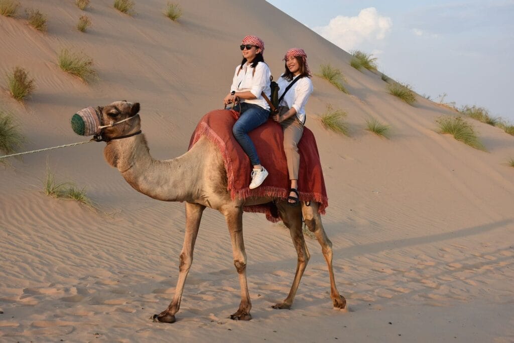 morning desert safari